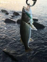 �����Х�