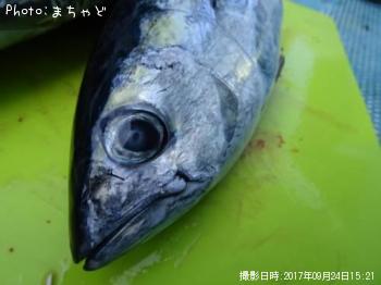 �ߡ����ӡڥ�Х��ޥ�����