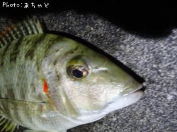 ��롼�ڥ��ƥ��ޥե��ե���