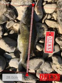 �֥�å��Х�