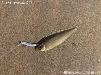 �����ӥ��