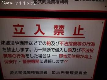 �����ꥤ��