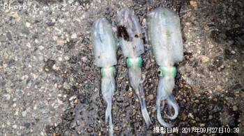 ¥¢¥ª¥ê¥¤¥«