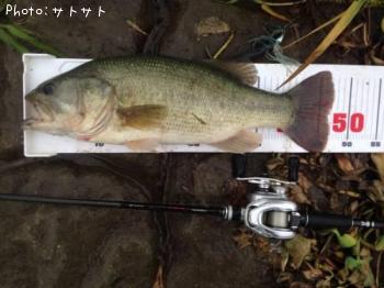 ¥Ö¥é¥Ã¥¯¥Ð¥¹