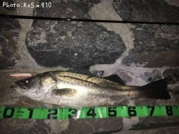 �����Х�