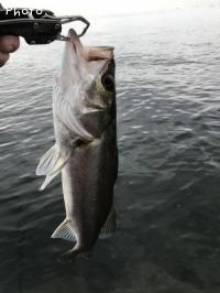 �����Х�