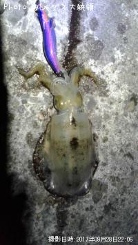 �����ꥤ��