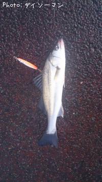 �����Х�