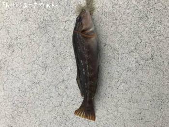 �����ʥ�