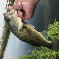 ¥Ö¥é¥Ã¥¯¥Ð¥¹