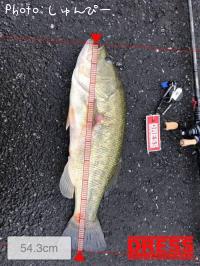 ¥Ö¥é¥Ã¥¯¥Ð¥¹