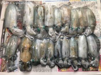 ¥¢¥ª¥ê¥¤¥«