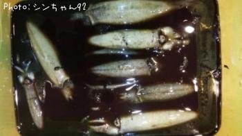 �����ꥤ��