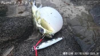 ¥°¡¼¥Õ¡¼