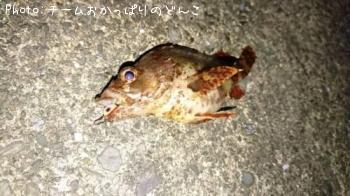 �������Х�