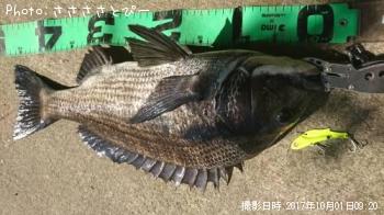 ���������������Х�