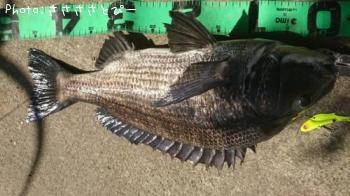 ���������������Х�