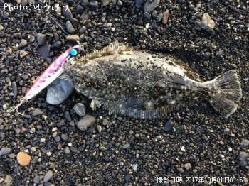 �ҥ��ʥ�����