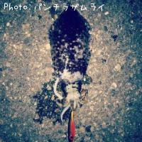 �����ꥤ��