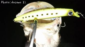 �����Х�