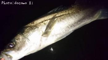 �����Х�