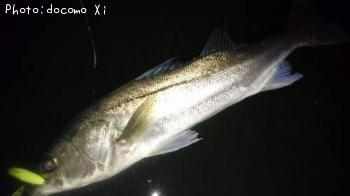 �����Х�