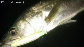 �����Х�