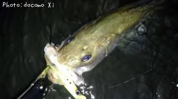 �����Х�