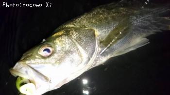 �����Х�