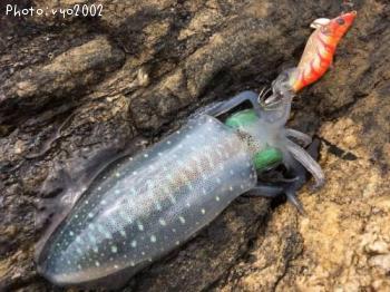 �����ꥤ��