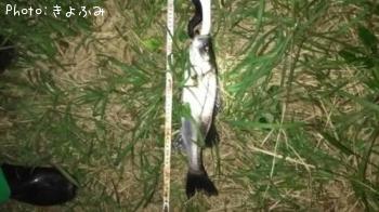 �����Х�