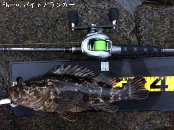 �����Υ���Х�