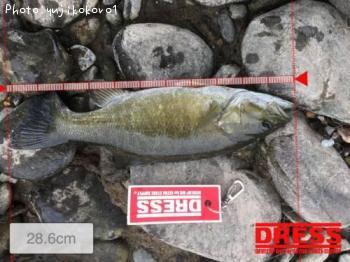 �֥�å��Х�