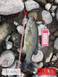 �֥�å��Х�