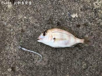 ¥¿¥¤¡©¡Ê¥Á¥ã¥ê¥³¡Ë