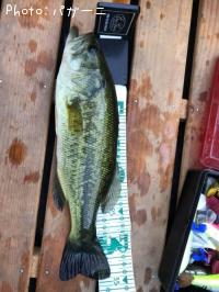 �֥�å��Х�