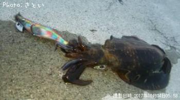 �����ꥤ��