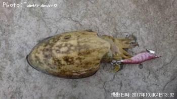 ��󥴥�����