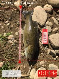 ¥Ö¥é¥Ã¥¯¥Ð¥¹