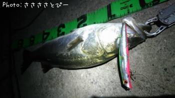 �����Х�