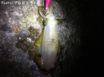 �����ꥤ��