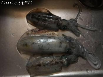 �����ꥤ��