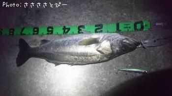 �����Х�