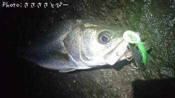 �����Х�