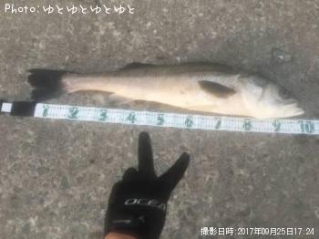 �����Х�