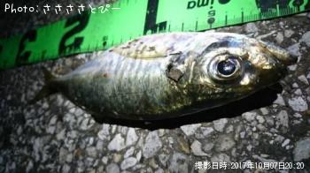 �����������Х�