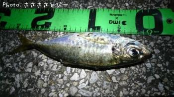 �����������Х�