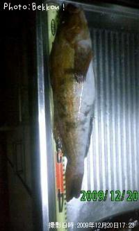 �����ʥ�