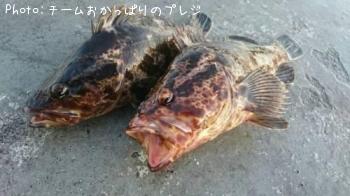 �����Υ���Х�