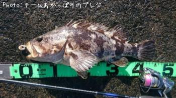 �����Υ���Х�